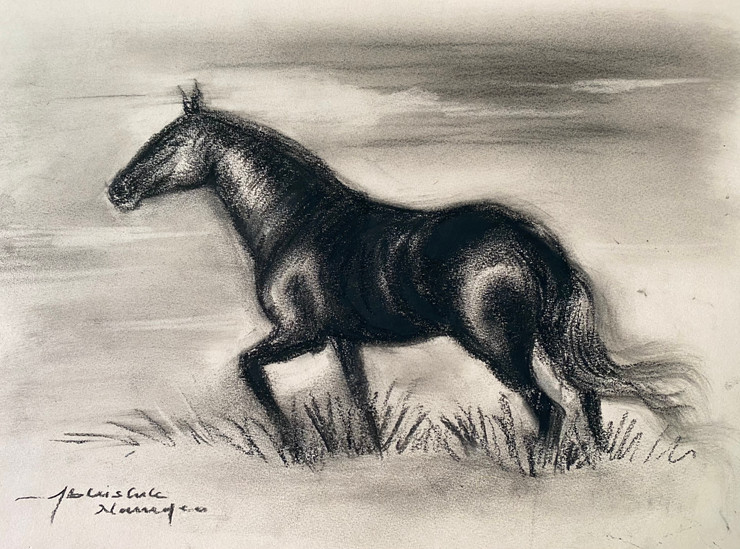Black Horse (ART_3512_67330) - Handpainted Art Painting - 16 in X 11in