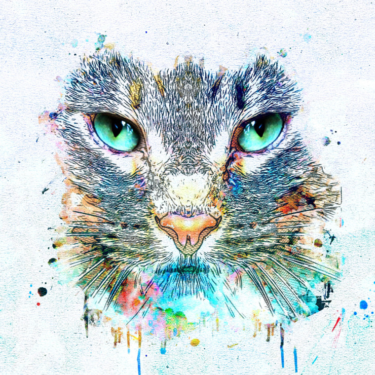 Cat Look Eyes  (PRT_7809_67789) - Canvas Art Print - 24in X 24in