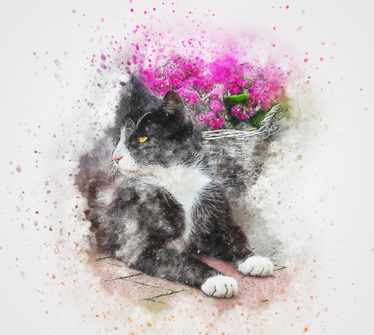 Cat Flowers  (PRT_7809_67739) - Canvas Art Print - 24in X 21in