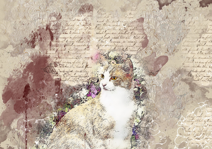 Cat Animal  (PRT_7809_67727) - Canvas Art Print - 24in X 16in