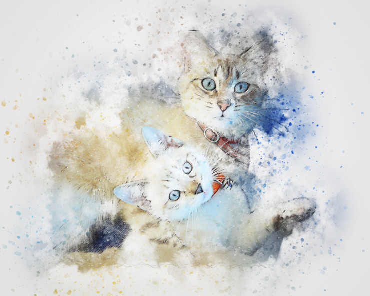 Cats Pet Hug  (PRT_7809_67919) - Canvas Art Print - 24in X 16in