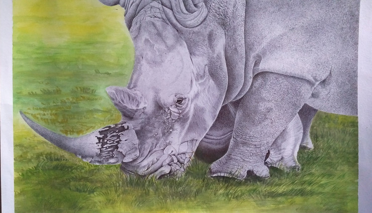 Rhino- mixmedia wildlife painting (ART_8718_68947) - Handpainted Art Painting - 25in X 15in