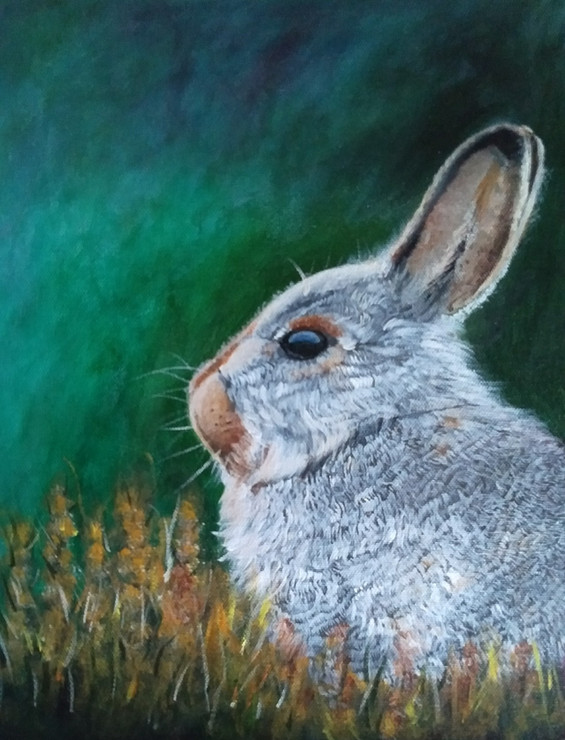 Rabbit -wildlife painting  (ART_8718_68920) - Handpainted Art Painting - 15in X 12in