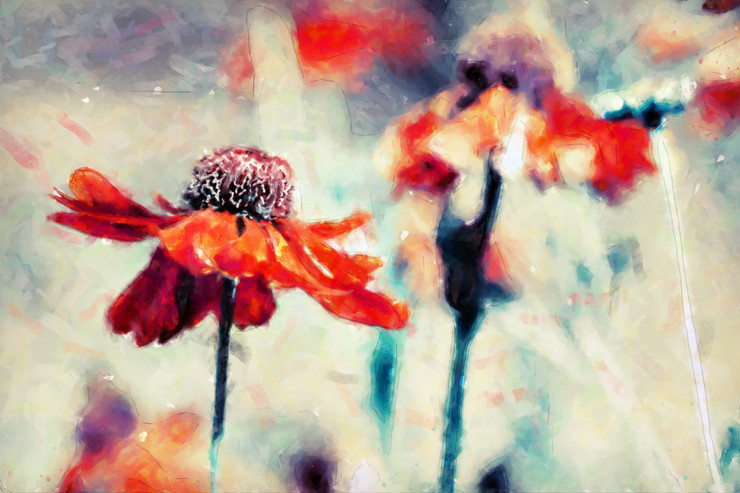 Flower Red 2 (PRT_7809_70194) - Canvas Art Print - 26in X 17in