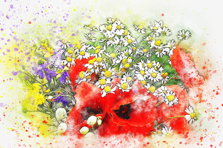 Flower Bouquet Poppy 3 (PRT_7809_70181) - Canvas Art Print - 26in X 17in