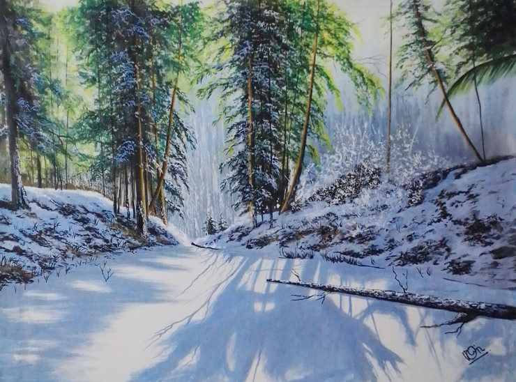 Winter sunny day (ART_5868_70228) - Handpainted Art Painting - 50in X 35in