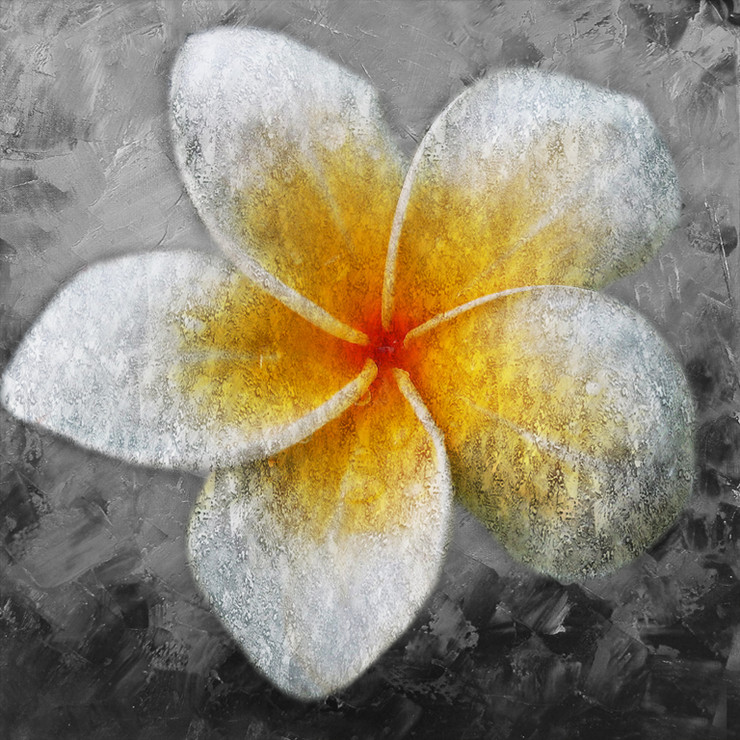 WhiteEggFlower - 32in X 32in,41Egg flower03_3232,Yellow, Brown,80X80,Flowers, Animals, Nature Art Canvas Painting