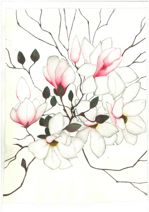 Blooming magnolia - Magnolia flowers and buds (ART_8905_72323) - Handpainted Art Painting - 11in X 15in