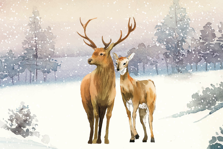 The Two Deer  Together (PRT_8645_72573) - Canvas Art Print - 24in X 16in
