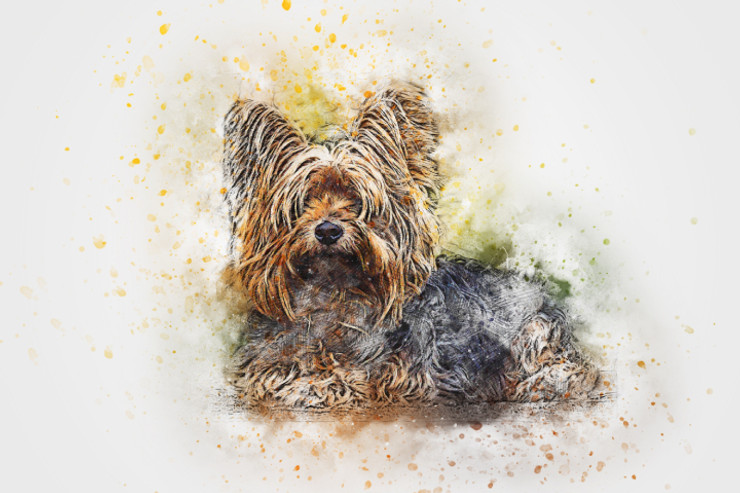Dog Portrait Pet  (PRT_7809_72992) - Canvas Art Print - 26in X 17in
