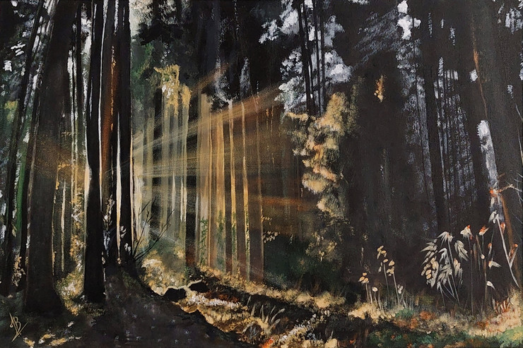 Forest - 02 (PRT_5839_73269) - Canvas Art Print - 24in X 16in