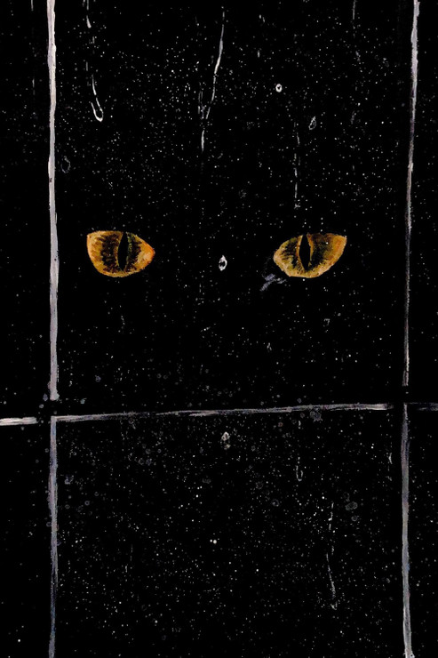 Gazing Eyes: A Handmade Acrylic Painting on Canvas (ART_8992_74148) - Handpainted Art Painting - 8in X 12in