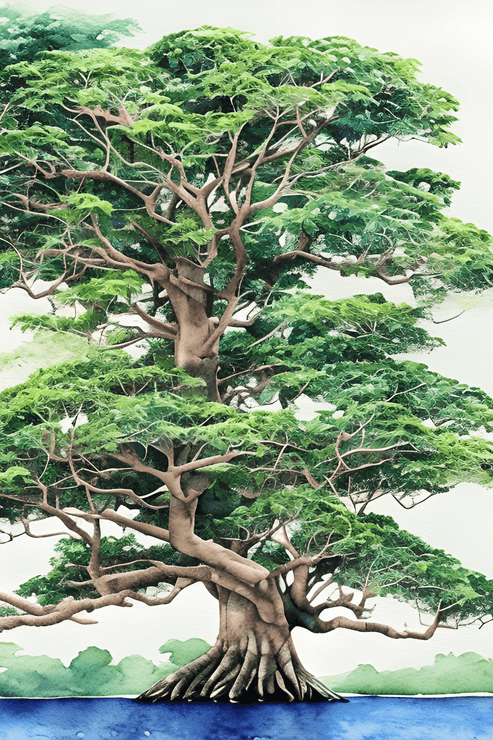 Banyan 2 (PRT_8991_74936) - Canvas Art Print - 11in X 16in