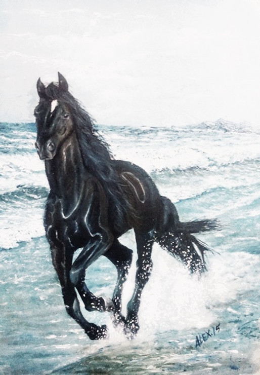 Horse,Spped,Race,Black Horse,Horse at Beach