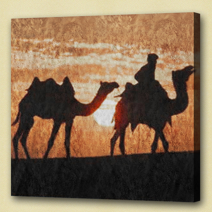 man, man on camel,desert, camel , two camel