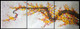 Wonderful Life  - 60in X 20in (Details Inside),FIZCLR23_6020,Oil Colors,Tree Life,Yellow Floral Branch,Multi Piece Paintings,Museum Quality - 100% Handpainted - Buy Painting Online in India.