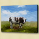cow, white cow, balck cow, cow in farm, farm