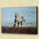 horse, white horse, galloping horse, galloping white horse , running horse