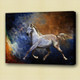 horse, white horse, galloping horse, galloping white horse , running horse