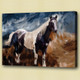 horse, white horse, galloping horse, galloping white horse , running horse