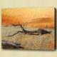 desert, sand, tree, old tree, dry tree