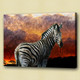 zebra, jungle, two zebra, forest, zebra in forest, standing zebra, wild animal, wild life,