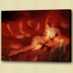 lady, girl, woman, nude lady, nude girl, naked lady , naked girl , nudo