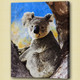 koala,stocky animal,wild life,wild animal,zoo  animal