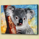 koala,stocky animal,wild life,wild animal,zoo  animal