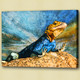 Chameleons or chamaeleons,lizardsquamate reptiles,Iguana
