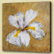 Flower,Floral,Petals,Beauty of flower