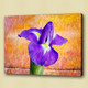 Flower,Floral,Petals,Beauty of flower