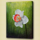 Flower,Floral,Petals,Beauty of flower