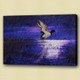 Birds,flying,aves,feathres,Beak