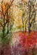 Trees and Red colour (ART_8841_75009) - Handpainted Art Painting - 7in X 10in