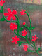 Floral world (ART_9048_75149) - Handpainted Art Painting - 14in X 18in