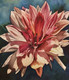 Dramatic Dahlia (ART_9040_75057) - Handpainted Art Painting - 11in X 12in