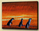 aqualife,Penguin,aquatic, flightless birds