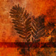 Visual language, Shape, Form, Color,Line,Stroke,Pattern,Design,Nonfigurative art, Nonobjective art