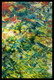 Jungle Calling (ART_9062_75449) - Handpainted Art Painting - 24in X 36in