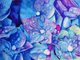 Dews on purple (ART_8423_75859) - Handpainted Art Painting - 20in X 28in
