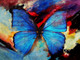 Butterfly,insects,Winged Insetc,Beautiful