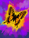 Butterfly,insects,Winged Insetc,Beautiful