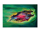 Pandemonium  (ART_9110_76729) - Handpainted Art Painting - 20in X 30in