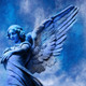 angel,winged angel, human with wings