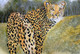 Leopard in the woods (ART_8657_76762) - Handpainted Art Painting - 36in X 24in