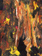 Flames (PRT_8429_76827) - Canvas Art Print - 24in X 36in