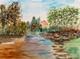 Trees And Pond (PRT_8841_76878) - Canvas Art Print - 18in X 13in