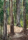 Tall trees (ART_8841_76865) - Handpainted Art Painting - 8in X 11in