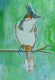 Boisterous Bulbul (ART-1022-100104) - Handpainted Art Painting - 8 in X 12in